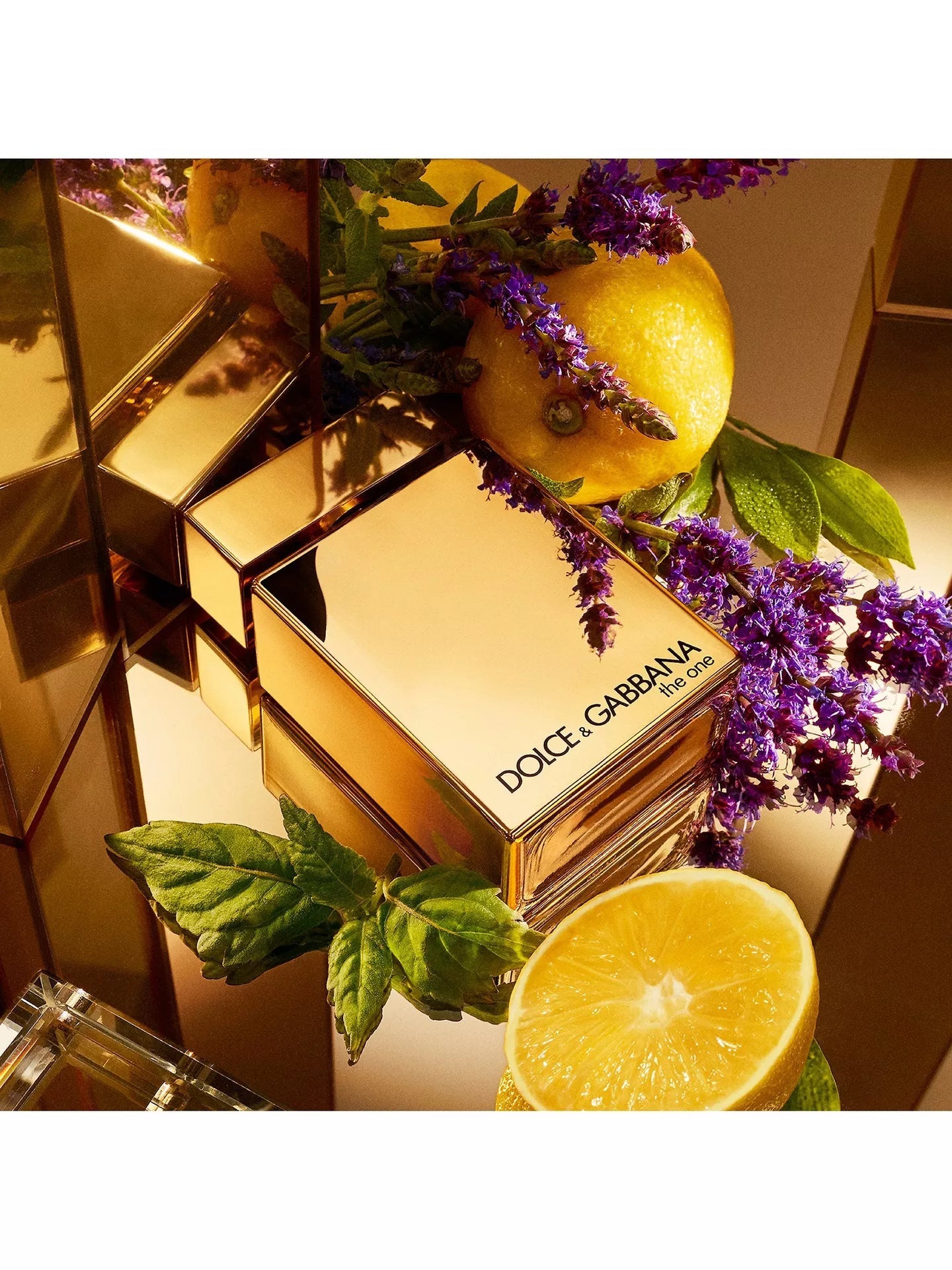 Dolce & Gabbana The One Gold EdP Intense 100ml - Scents Avenue NG