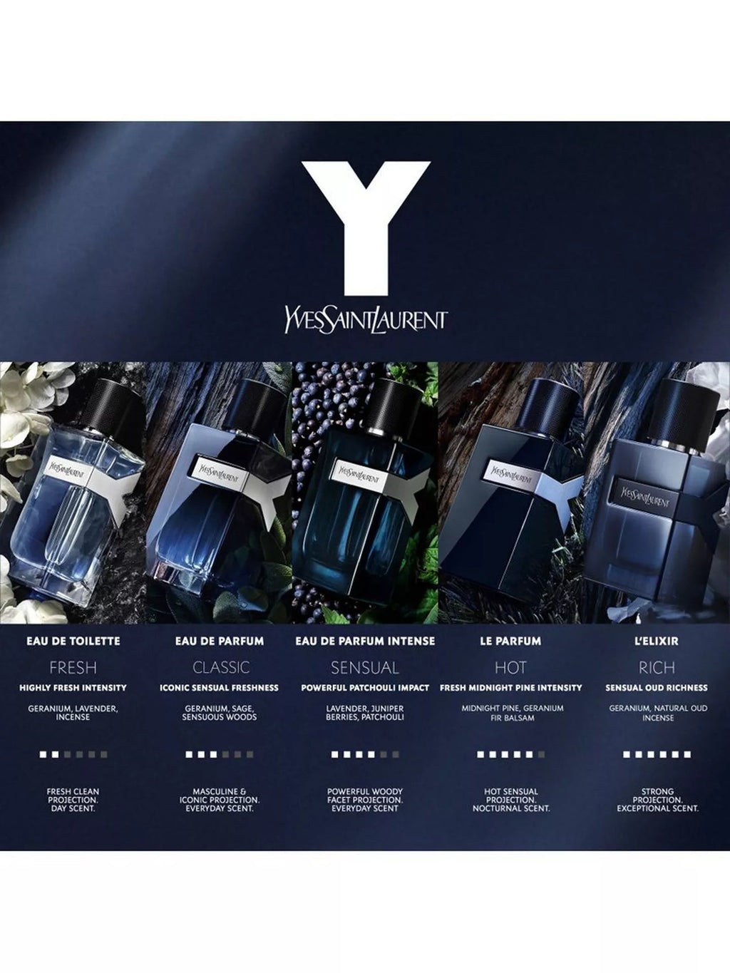 Yves Saint Laurent Y Le Parfum - Scents Avenue NG